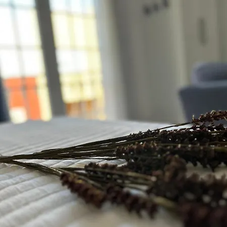 Casa Daniella Vivienda B Διαμέρισμα